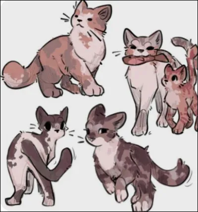 Serais-tu prêt(e) à ce qu'un chat te dérange à 6h du matin, 22h du soir, 13h le midi ?