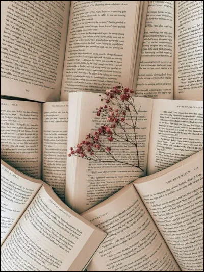 Ton style de roman, c'est plutôt...