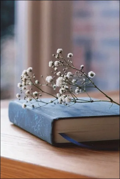 Tu aimes les romans...