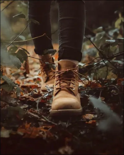 Quelle est la quête qui t'intéresse le plus ?