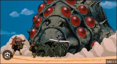 Qui est Nausica&auml; ?