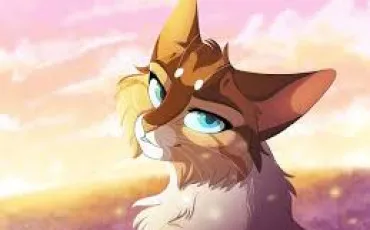 Quiz Test de personnalit