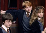 Quiz Quiz Connais-tu bien la vie de Harry Potter ?