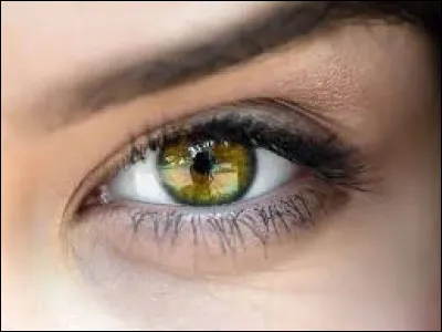 Comment dit-on l'oeil en espagnol ?