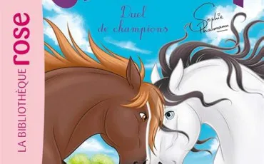 Quiz Littrature, posie