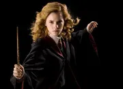 Quiz Quiz Es-tu fan de Hermione Granger ?