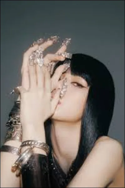 Quel est le premier solo de Lisa ?