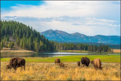 Le pic Echo est un sommet montagneux situé dans le parc national de Yellowstone. Dans quel pays sommes-nous ?