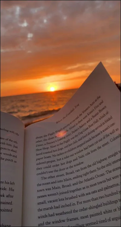 Quelle phrase te décrit le mieux ?