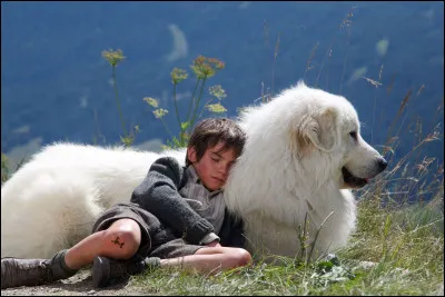 Quel chien de fiction peut-on associer au petit Sébastien ?