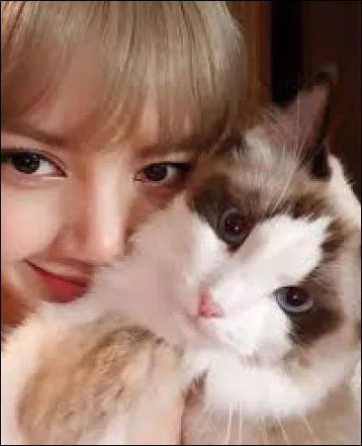 Quel animal préfères-tu ?