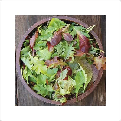 Le mesclun est une salade savoureuse qui pousse dans l'eau des ruisseaux !