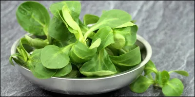 Ceci est une salade de mâche !