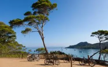 Quiz Marseille