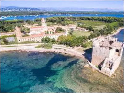 Quelle île de Lérins est connue pour son monastère de la congrégation cistercienne de l'Immaculée Conception ?
