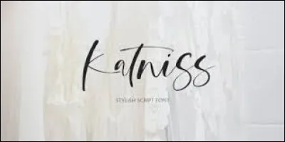 Quel est le nom de famille de Katniss ?