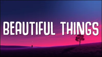 Qui chante : "Beautiful Things" ?