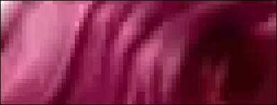 Qui est-ce ?
