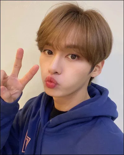 Quest-ce que Lee Know aime le plus ?