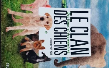 Quiz Test de personnalit