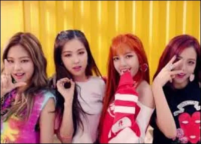 Pourquoi veux-tu être idole de K-pop ?