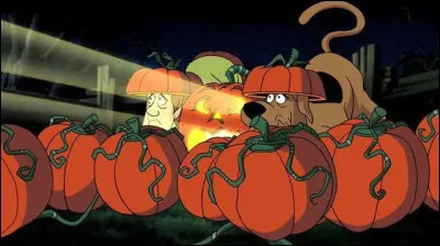 Halloween ou tout le reste de l'année, s'il y a bien un spécialiste des monstres, sorcières et autres fantômes, c'est bien Scooby-Doo ! Qui, aux côtés de ses amis, a l'habitude de les débusquer grâce à leur...