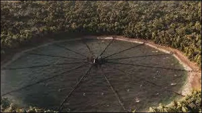 Qui préfères-tu dans ''Hunger Games'' ?