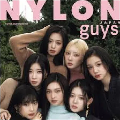 Quel est leur lightstick ?