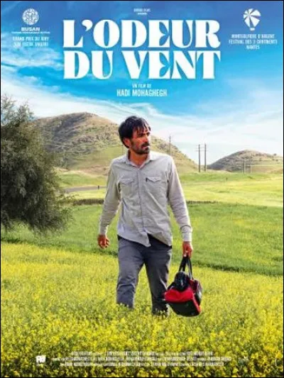De quelle nationalité est ce film ?
