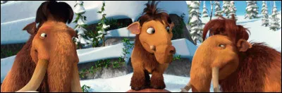 Quel est ton signe astrologique s'il te plaît ?