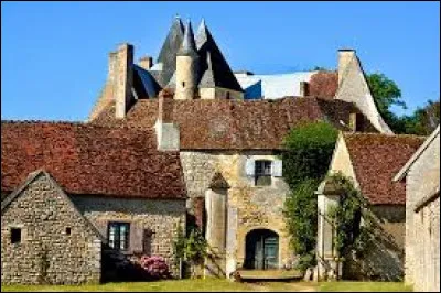 Dans quel département français se trouve le village d'Azy-le-Vif ?