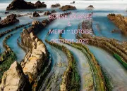 Quiz Homonymes & homographes se jouent de nous n44