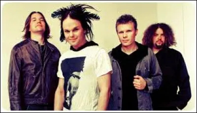 À quel groupe de rock doit-on le tube "In The Shadows" en 2003 ?