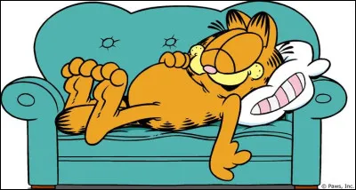 Comment se nomme ce chat de bande dessinée, réputé pour être gourmand et très paresseux ?