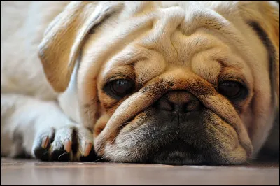 En anglais, comment traduit-on la phrase "Je mennuie beaucoup" ?