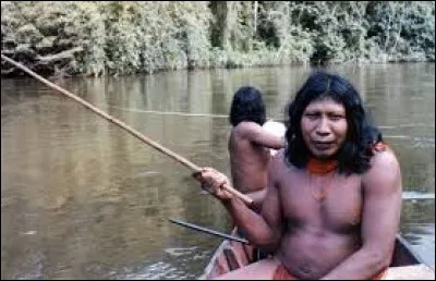 Où verrez-vous des seines ?