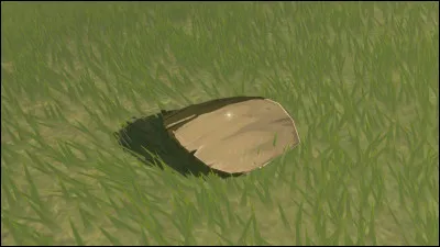 As-tu les ongles longs ?