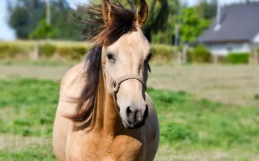 Quiz Test de personnalité