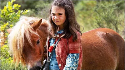 Quel cheval/poney de films préfères-tu ?