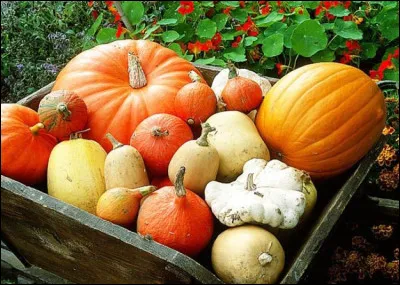 Avec quoi la citrouille est-elle souvent confondue ?