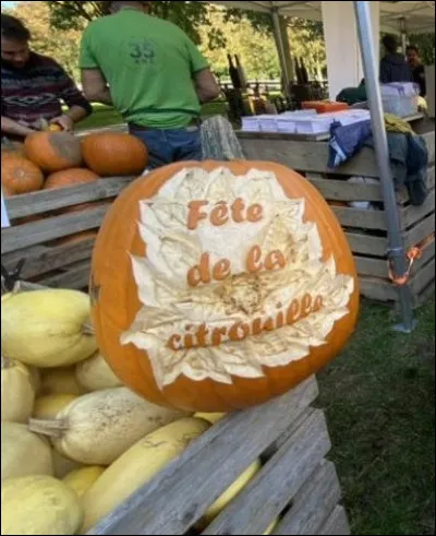 Quand a lieu la journée nationale de la citrouille ?