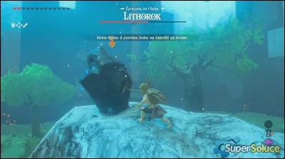 Si quelquun tinsulte, que fais-tu ?