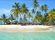 Test Es-tu fait pour vivre en pleine nature ?