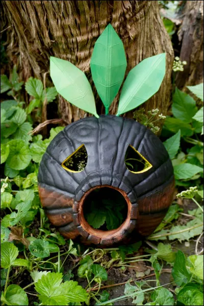 Vrai ou faux ? Dans ce jeu, on n'incarne pas Link mais son alter ego de Termina "Linke".