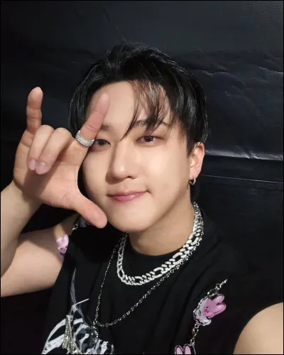 Quel est le nom de son Skzoo ?