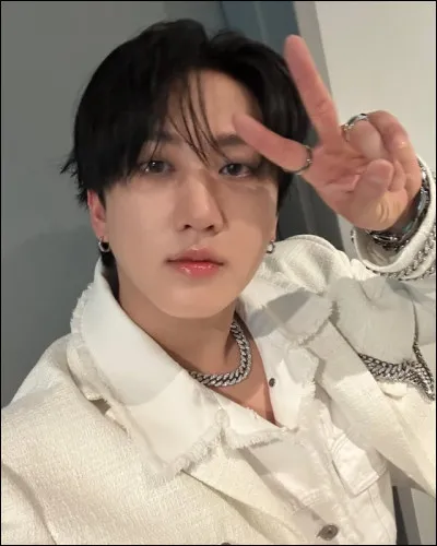 Quel est son r&ocirc;le principal dans Stray Kids ?