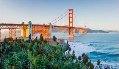 Quel animal est présent sur le drapeau de la Californie ?