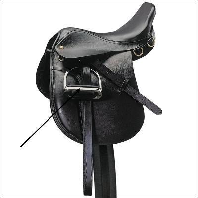 Quelle partie de la selle est dsigne par la flche ?