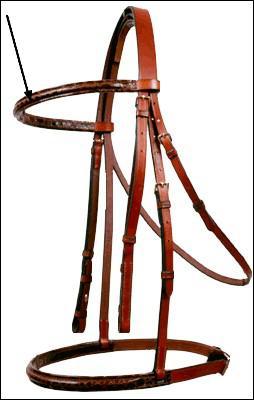 Quelle partie du filet la flche nous montre-t-elle ?