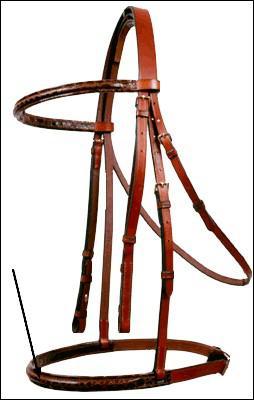 Quelle partie du filet la flche nous montre-t-elle ?